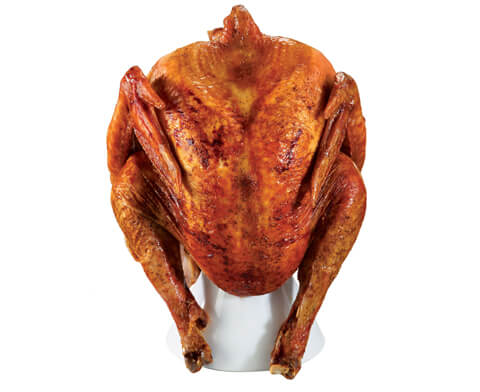 Turkey Sitter