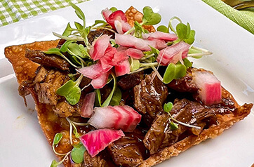 Asian Shredded Lamb Wonton Crisps